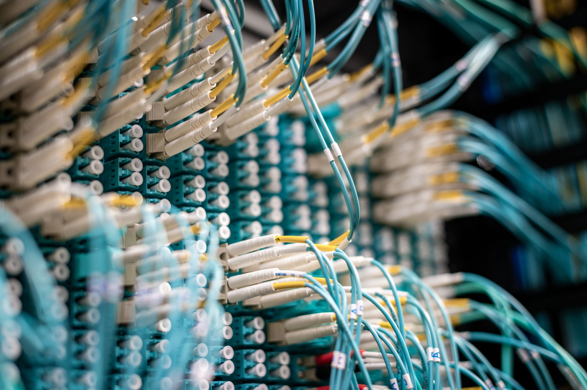 Network cables connected to servers running market data feeds