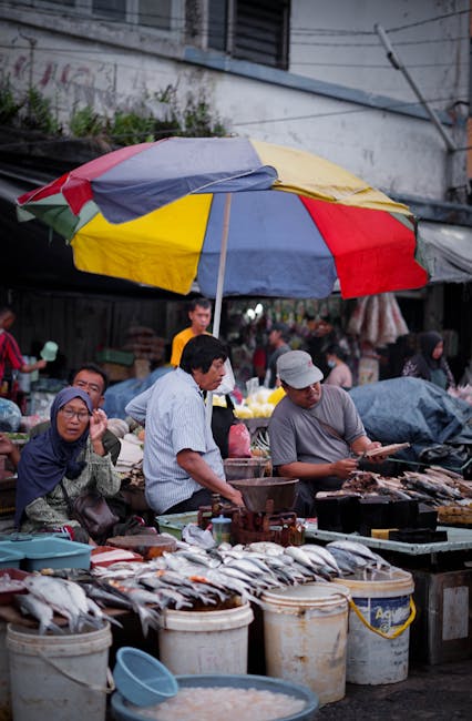 Estructura corporativa para trading propietario